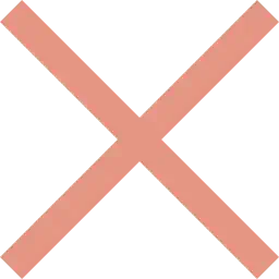 close icon